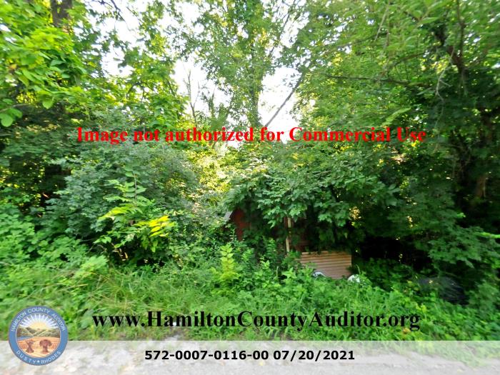 Photo 07/20/2021